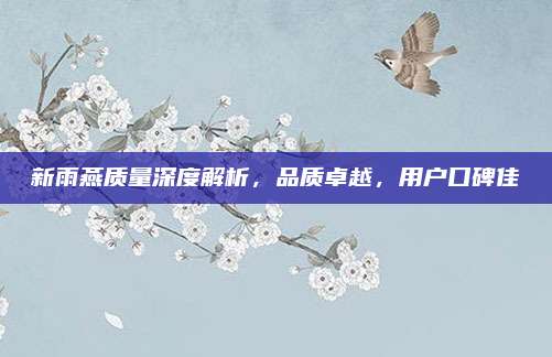 新雨燕质量深度解析,品质卓越,用户口碑佳