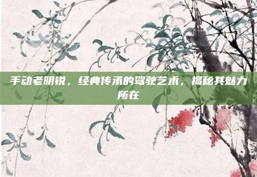 手动老明锐，经典传承的驾驶艺术，揭秘其魅力所在