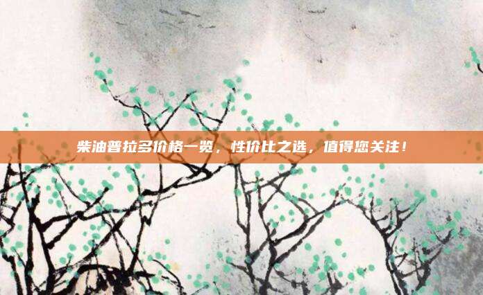 柴油普拉多价格一览,性价比之选,值得您关注!