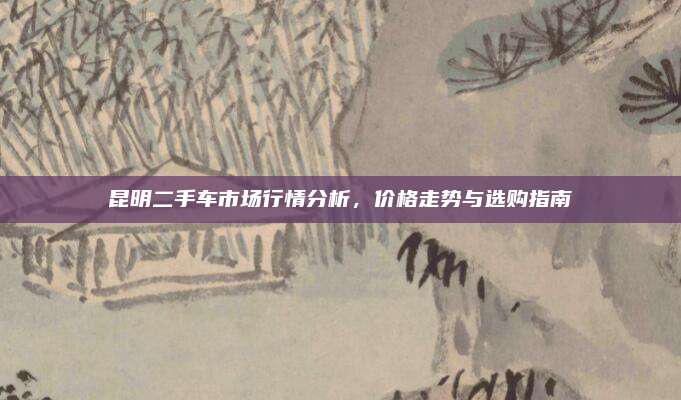 昆明二手车市场行情分析,价格走势与选购指南