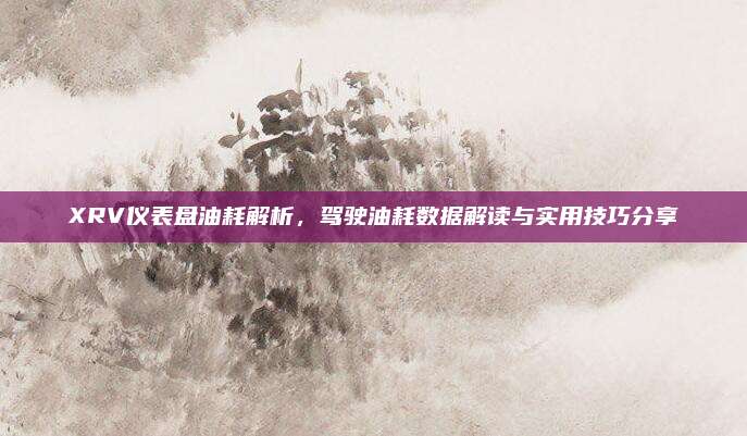 XRV仪表盘油耗解析,驾驶油耗数据解读与实用技巧分享