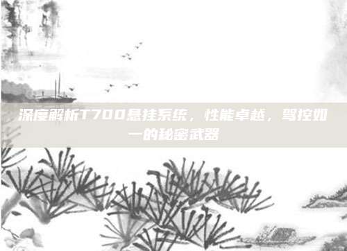 深度解析T700悬挂系统,性能卓越,驾控如一的秘密武器
