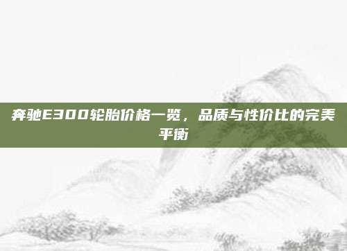 奔驰E300轮胎价格一览，品质与性价比的完美平衡