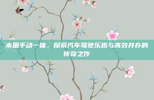 本田手动一体,探索汽车驾驶乐趣与高效并存的传奇之作