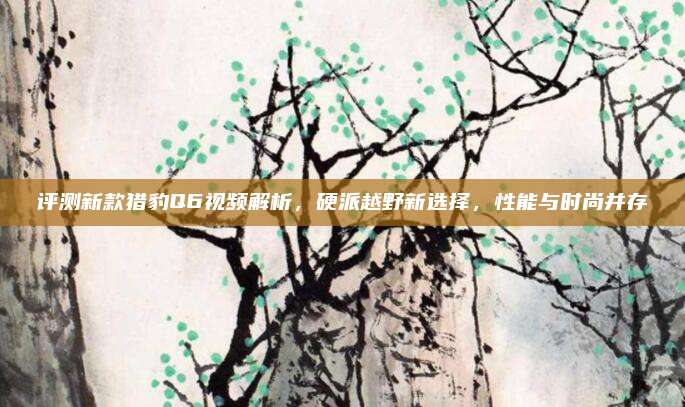 评测新款猎豹Q6视频解析,硬派越野新选择,性能与时尚并存