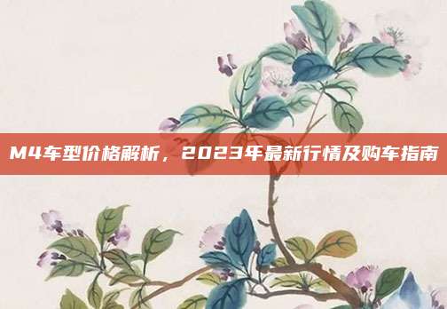 M4车型价格解析,2023年最新行情及购车指南