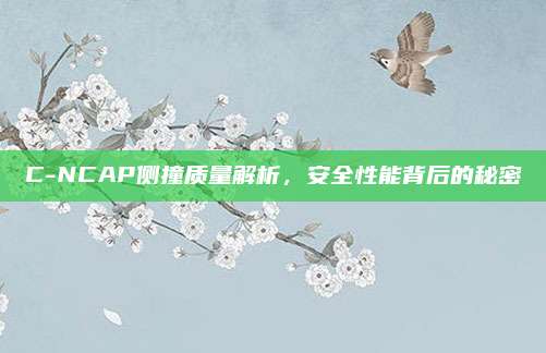 C-NCAP侧撞质量解析,安全性能背后的秘密