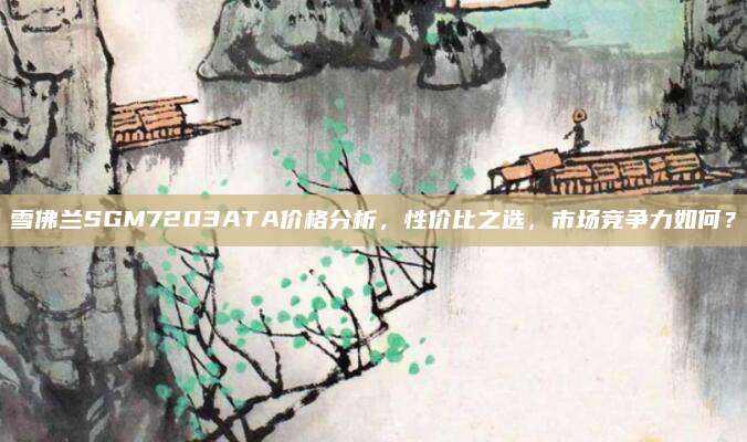 雪佛兰SGM7203ATA价格分析，性价比之选，市场竞争力如何？