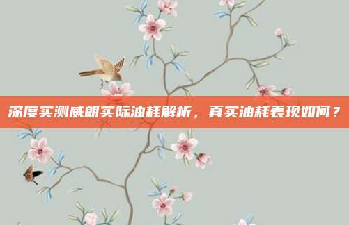 深度实测威朗实际油耗解析,真实油耗表现如何?