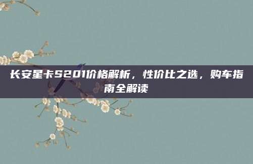 长安星卡S201价格解析,性价比之选,购车指南全解读
