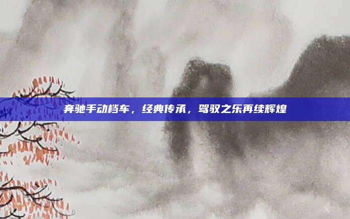 奔驰手动档车,经典传承,驾驭之乐再续辉煌