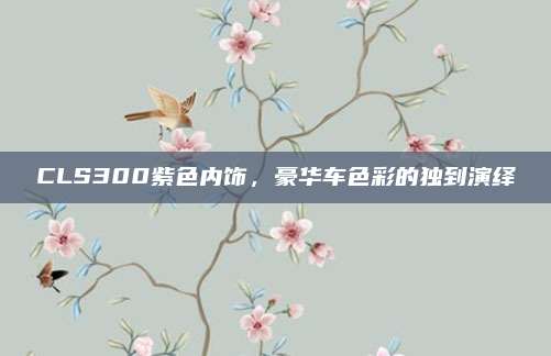 CLS300紫色内饰,豪华车色彩的独到演绎