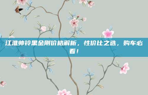 江淮帅铃黑金刚价格解析，性价比之选，购车必看！