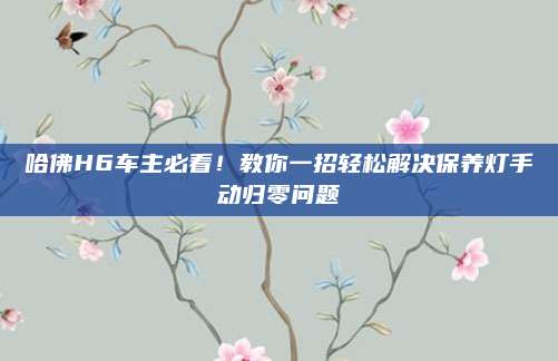 哈佛H6车主必看！教你一招轻松解决保养灯手动归零问题