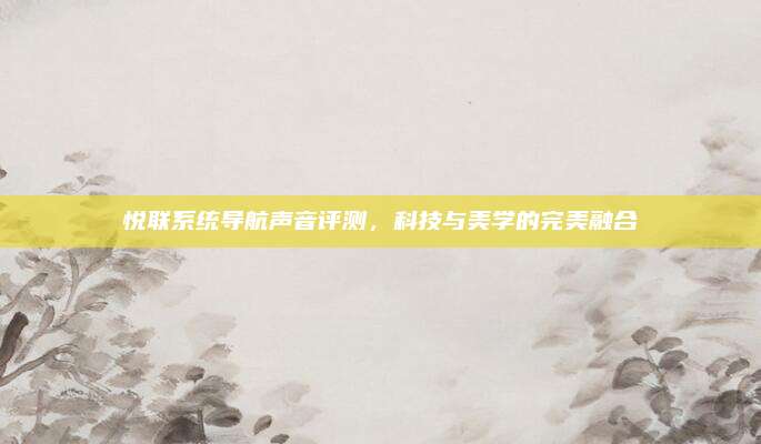 悦联系统导航声音评测，科技与美学的完美融合
