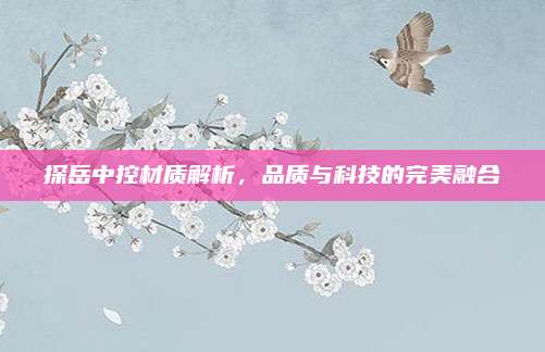 探岳中控材质解析,品质与科技的完美融合