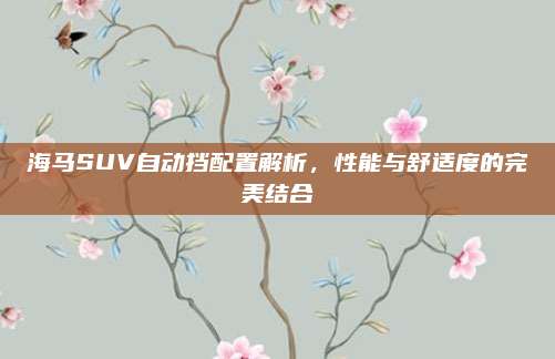 海马SUV自动挡配置解析,性能与舒适度的完美结合