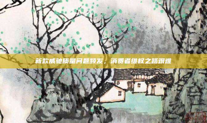 新款威驰质量问题频发,消费者维权之路艰难