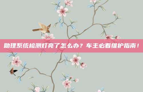 助理系统检测灯亮了怎么办?车主必看维护指南!