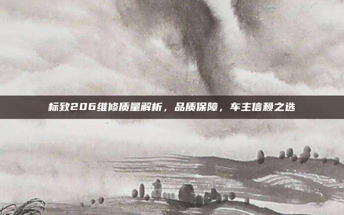 标致206维修质量解析，品质保障，车主信赖之选
