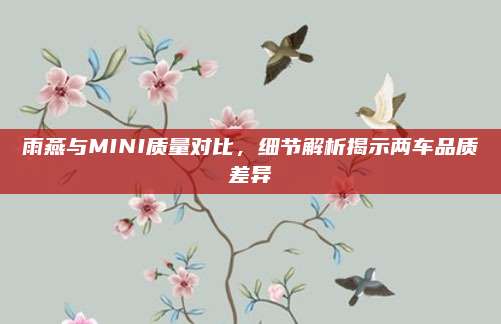 雨燕与MINI质量对比，细节解析揭示两车品质差异
