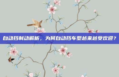 自动挡制动解析，为何自动挡车型越来越受欢迎？