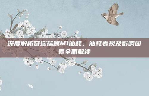 深度解析奇瑞瑞麒M1油耗，油耗表现及影响因素全面解读