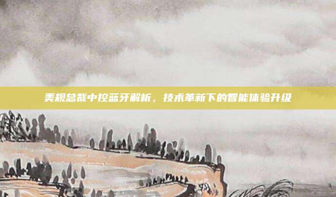 美规总裁中控蓝牙解析，技术革新下的智能体验升级