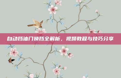 自动挡油门换挡全解析,视频教程与技巧分享