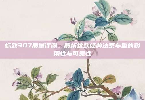 标致307质量评测,解析这款经典法系车型的耐用性与可靠性