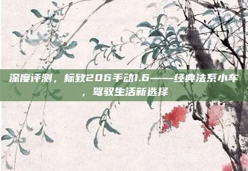 深度评测，标致206手动1.6——经典法系小车，驾驭生活新选择