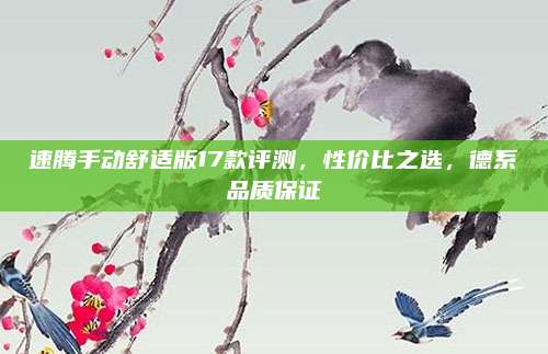 速腾手动舒适版17款评测，性价比之选，德系品质保证