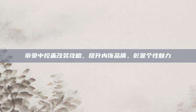 帝豪中控盖改装攻略，提升内饰品质，彰显个性魅力