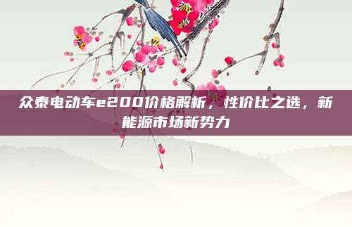 众泰电动车e200价格解析,性价比之选,新能源市场新势力