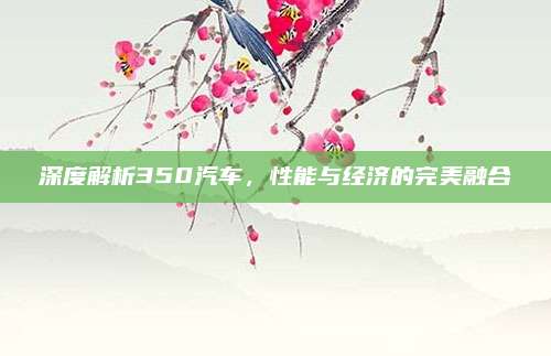 深度解析350汽车,性能与经济的完美融合