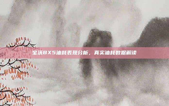 宝沃BX5油耗表现分析,真实油耗数据解读