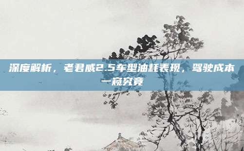深度解析,老君威2.5车型油耗表现,驾驶成本一窥究竟