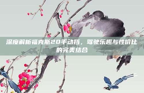 深度解析福克斯20手动挡,驾驶乐趣与性价比的完美结合