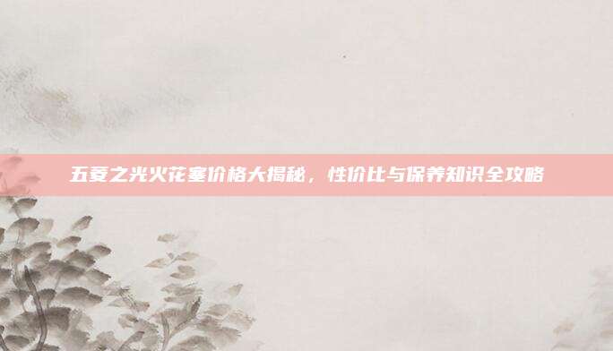 五菱之光火花塞价格大揭秘,性价比与保养知识全攻略