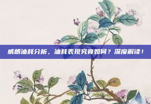 威朗油耗分析,油耗表现究竟如何?深度解读!