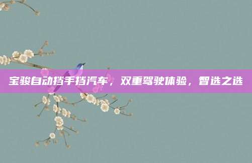 宝骏自动挡手挡汽车,双重驾驶体验,智选之选