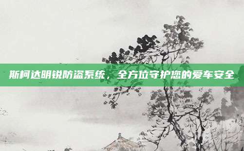 斯柯达明锐防盗系统,全方位守护您的爱车安全