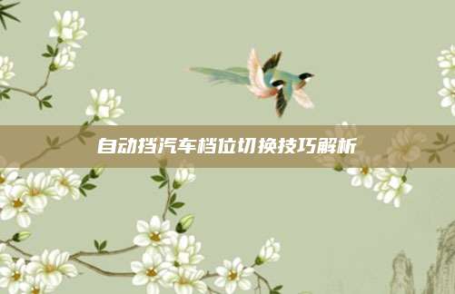 自动挡汽车档位切换技巧解析