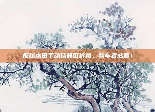 揭秘本田手动挡最低价格,购车者必看!