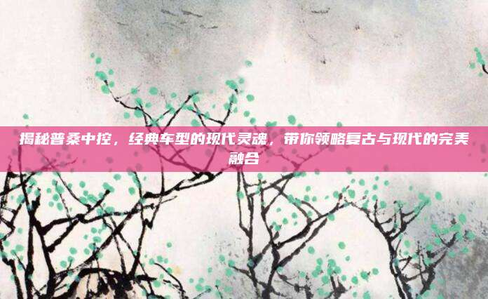 揭秘普桑中控,经典车型的现代灵魂,带你领略复古与现代的完美融合