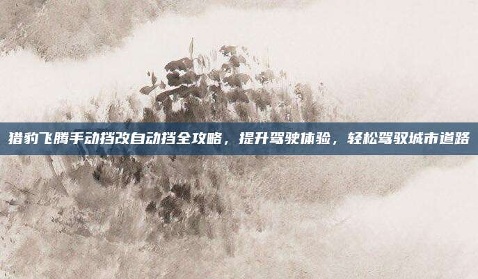 猎豹飞腾手动挡改自动挡全攻略,提升驾驶体验,轻松驾驭城市道路
