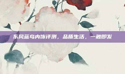 东风蓝鸟内饰评测，品质生活，一触即发
