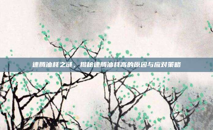 速腾油耗之谜,揭秘速腾油耗高的原因与应对策略