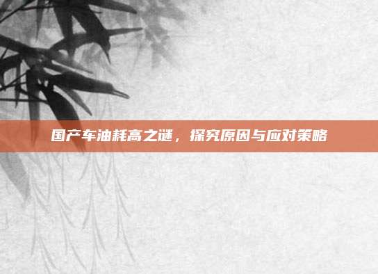 国产车油耗高之谜,探究原因与应对策略