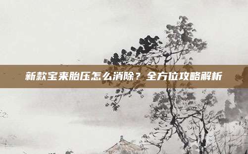 新款宝来胎压怎么消除?全方位攻略解析